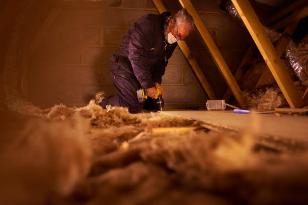 Best Commercial Insulation in Sneedville, TN